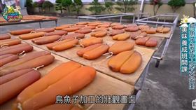 ▲來到雲林口湖鄉絕對不能錯過火烤烏魚子，濃濃的鮮味直接從嘴裡炸出來。（圖／擷自三立新聞網YT畫面）