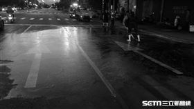 台中豬血血流成河佈滿馬路／翻攝畫面