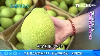 斗六文旦還要吹冷氣　年產額12億