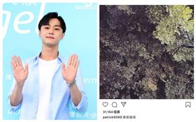 施柏宇。（翻攝自IG）