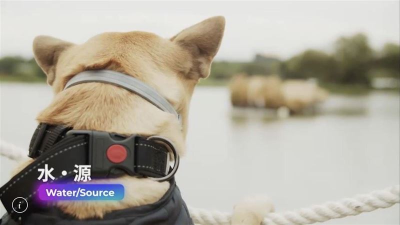 放假了！平警警犬萌翻桃園地景藝術節