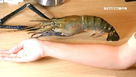 (獨)秋烤蝦皇霸1800