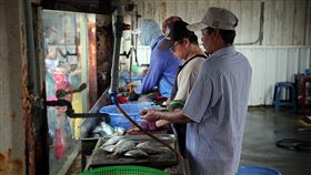 新竹,國內旅遊,香山,明發定置漁場,發哥,魚市場。（圖／記者簡佑庭攝）