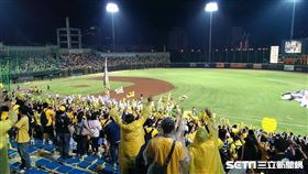 兄弟象／王怡翔