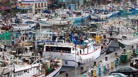 漁船,漁業,遠洋漁業,漁夫,圖/翻攝自Greenpeace 綠色和平 (台灣網站)臉書