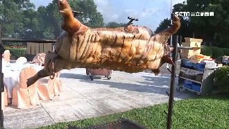 出一張嘴享美味！飯店推全豬烤肉趴