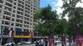 名家專用／草根影響力新視野（勿用）