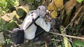 新北市三峽區本土登革熱群聚新增5名確診個案，疾管署防疫人員持續加強五寮里孳生源查核。(疾病管制署提供)