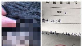 中國,內蒙古,幼兒園,虐童,針（圖／翻攝自微博）