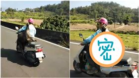 烤肉加菜？淡定伯單肩「扛這隻」…靠近一看網嚇傻：是活的（圖／翻攝自爆廢公社）