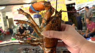 獨／釣蝦場中秋加菜！龍蝦全帶回家