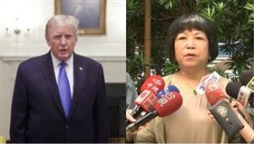 川普、葉毓蘭（組合圖／資料照）