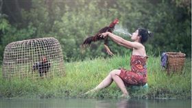 ▲生肖。（示意圖／翻攝自百度百科）