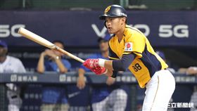 ▲中信兄弟外野手岳東華。（圖／記者劉彥池攝影）