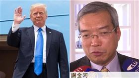 衝擊市場！川普確診對美國大選影響，謝金河揭3指標可觀察（組合圖／翻攝自facebook.com/WhiteHouse、資料照）