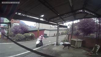 愛犬中秋被毒殺　女飼主淚控：怎處理