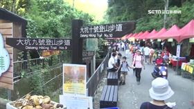 最親民步道！大坑步道健行兼買菜　人潮塞出「人肉貪食蛇」
