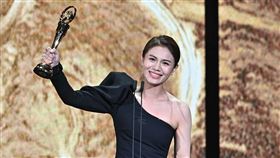 朱海君。（圖／台視提供）