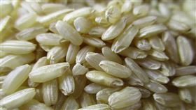 糙米（圖／翻攝自PTT）