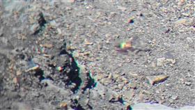 花蓮,中央尖山,山友,遺體,死亡稜線（圖／翻攝搜救資訊公開平台）