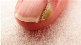 名家專用／草根影響力新視野（勿用）
