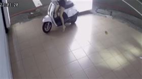 小隻女坐機車上前後搖晃收中柱…網一看暴動（圖／翻攝自爆怨公社臉書）