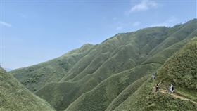 抹茶山（羅東林管處）