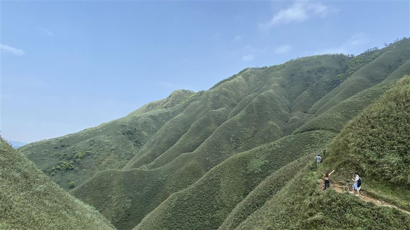 挑戰失敗！抹茶山遊客竟叫救護車送⋯