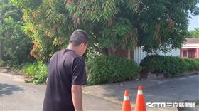 雲林8旬父打死兒子／翻攝畫面