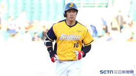 ▲中信兄弟外野手周思齊敲出本季第20轟。（圖／記者劉彥池攝影）