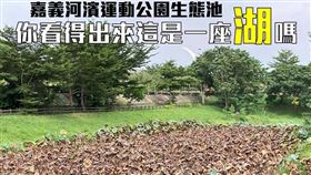 基進嘉義黨部PO荷花枯萎照監督公園維護，網：聽過秋天？（圖／翻攝台灣基進嘉義黨部）