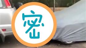 巷口遇「野生小豬」！驚見正在空幹　網全看傻：速度退步了