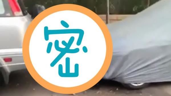 巧遇「小豬」狂空幹！影片流出驚呆網