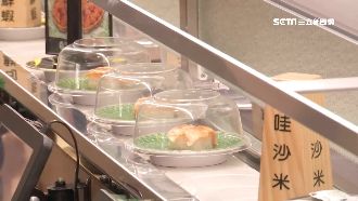 迴轉壽司均一價怎賺？業者揭「眉角」