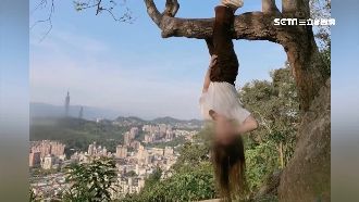 不理市府勸導…網美峭壁爬樹拍懸空照