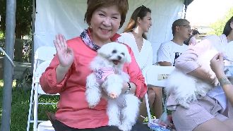 張育美抱愛犬　喊金句Lulu我愛你