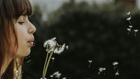 名家專用/ 女人瘋（勿用）