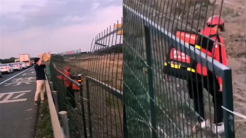 陸男高速公路上叫麥當勞　結果超展開
