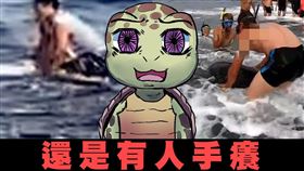 「都講過八百遍了，還是有人手癢」海洋委員會今（5）天表示，小琉球又發生騷擾海龜事件（圖／翻攝自海洋委員會臉書）