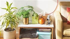 名家專用/ 女人瘋（勿用）