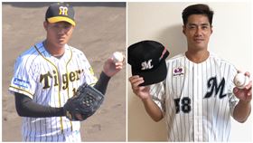 ▲阪神虎隊石井將希、千葉羅德陳偉殷。（圖／翻攝自推特）