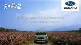 ▲SUBARU與水果選物品牌《知果堂》合作。（圖／Subaru提供）