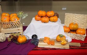 泰安雪霸甜柿產季到　氣候穩定質量均佳