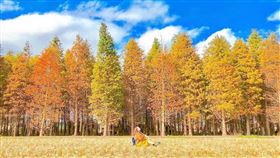 （圖／Tripbaa趣吧！達人帶路）