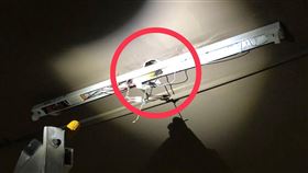 台中水電工換燈管觸電亡　原因現場曝（圖／翻攝畫面）