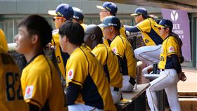 中信兄弟二軍總教練林威助。（圖／中信兄弟提供）