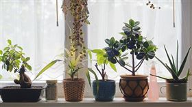 ▲財運相關（圖／翻攝自pixabay）