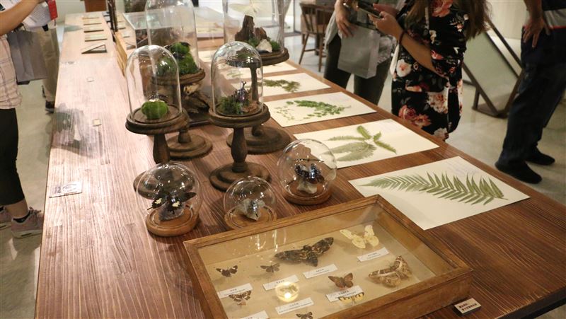 昆蟲系未來的出路為何？過來人揭真相