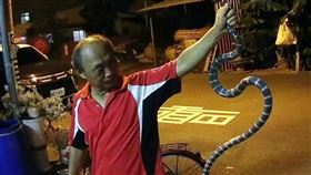 台南,雨傘節,公親里,王金樹,里長（圖／翻攝臉書公親日誌）