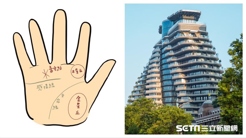 快檢查手掌！5種手相有「住豪宅命」